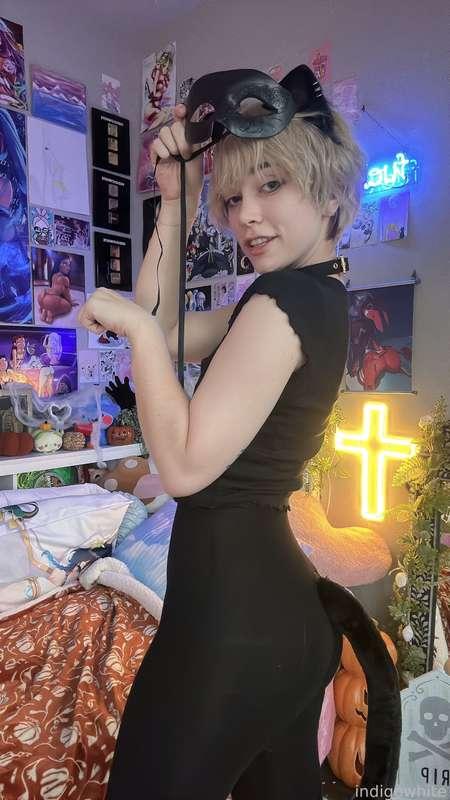 indigowhite image #45