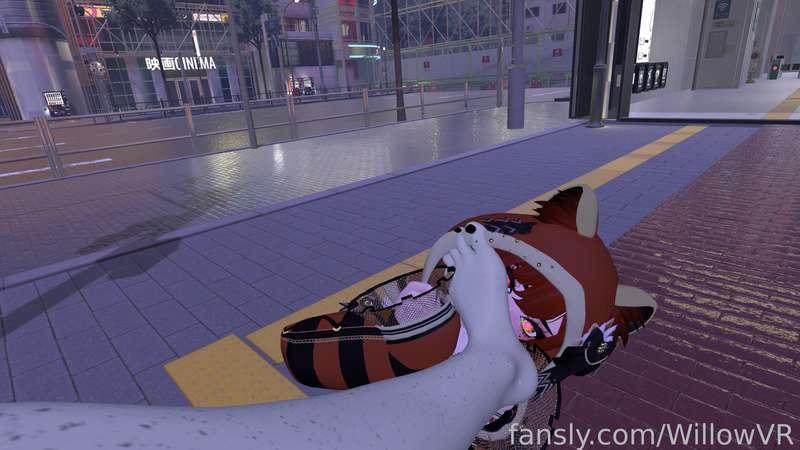 willowvr image #9