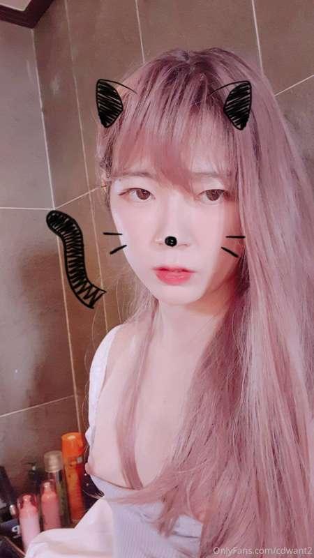cdwant2 image #18