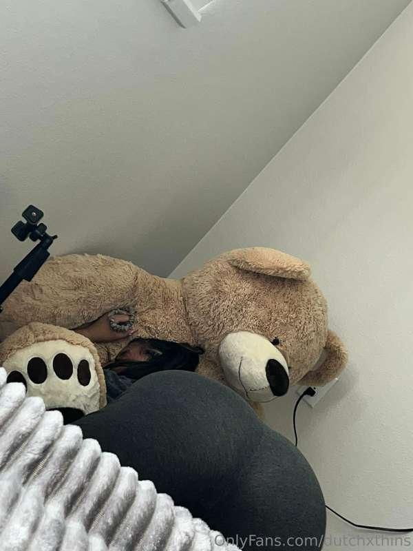 Cheating w Mr Bear🫨