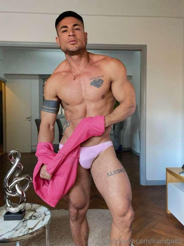 Bull in PINK