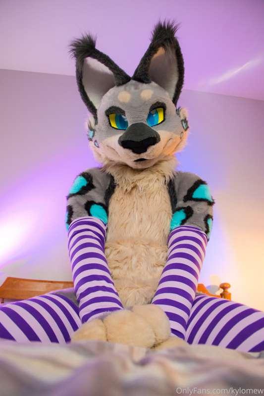 gonna be at aquatifur this weekend so hope you cuties behave..