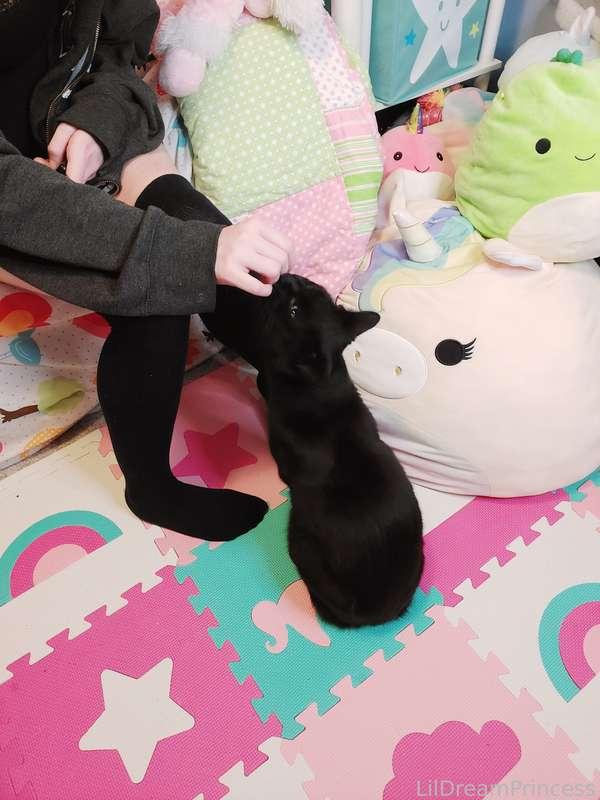 lildreamprincess image #47