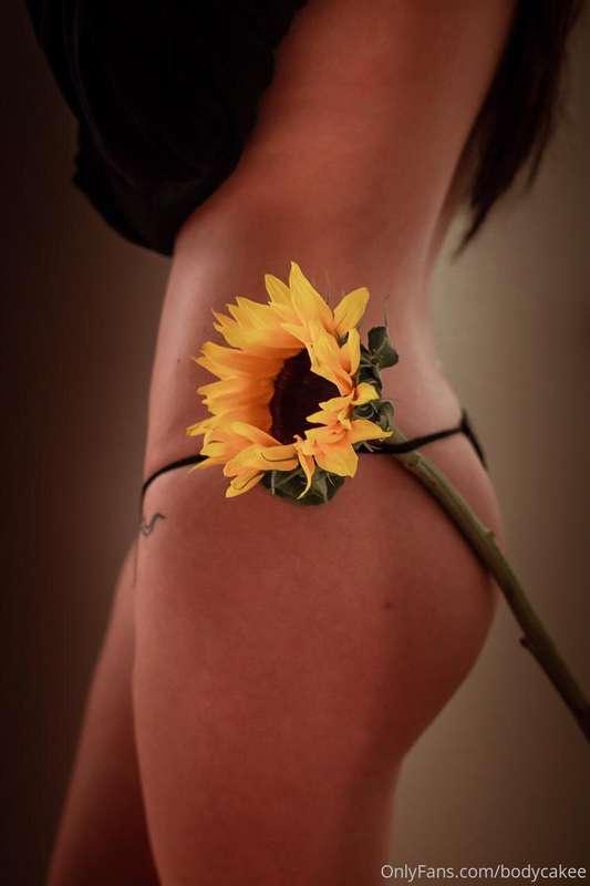 💛💛🌻🌻