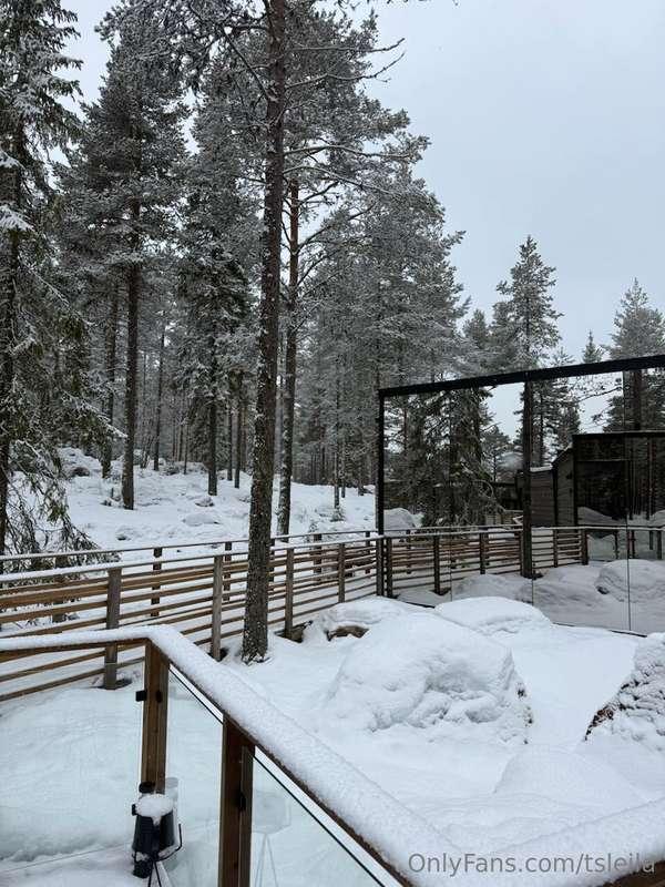A little winter escape. Just what my soul needed ❄️