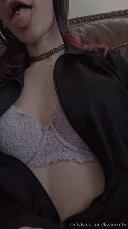 kyanikitty image #0