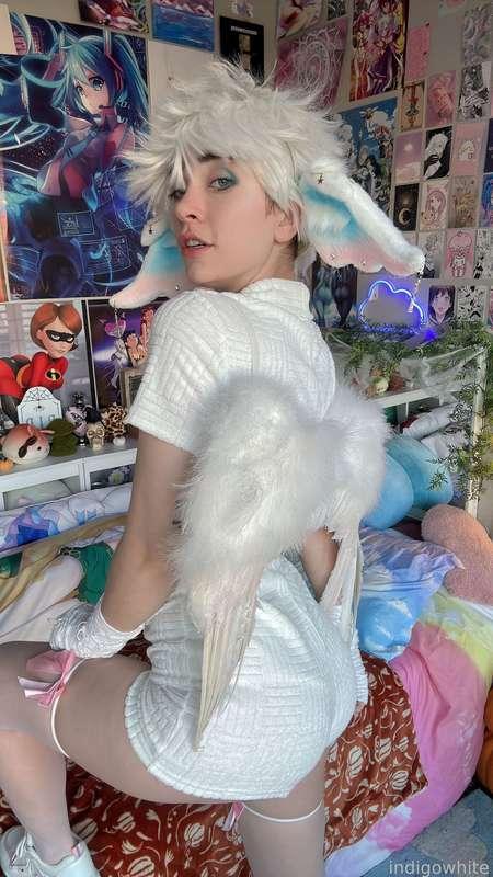 indigowhite image #191