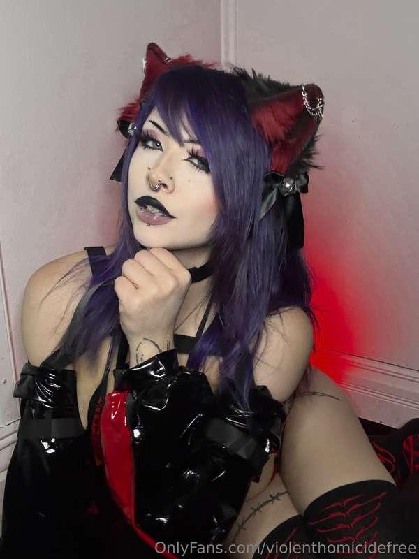 I turned into a cat...