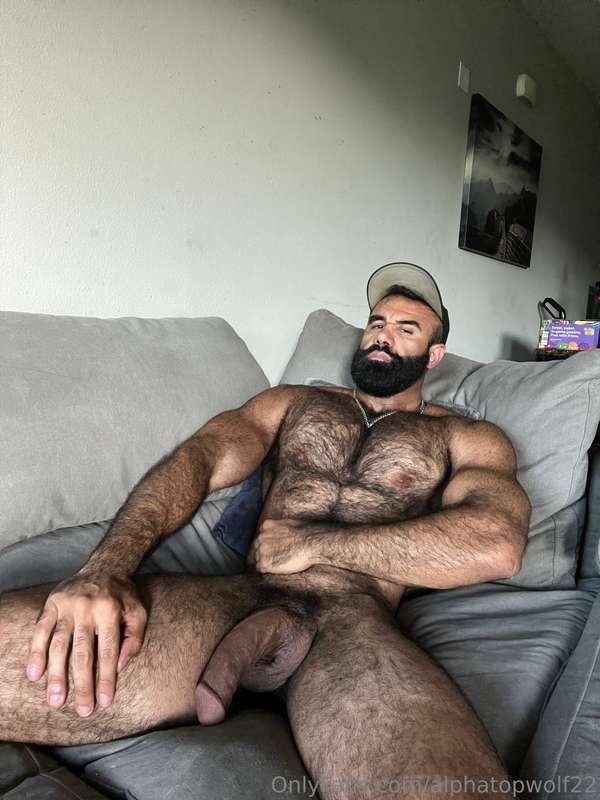 alphatopwolf22 image #0