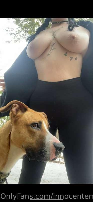 Slutty dog walker