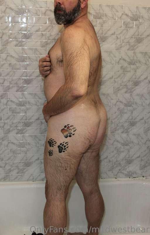 m1dwestbear image #18