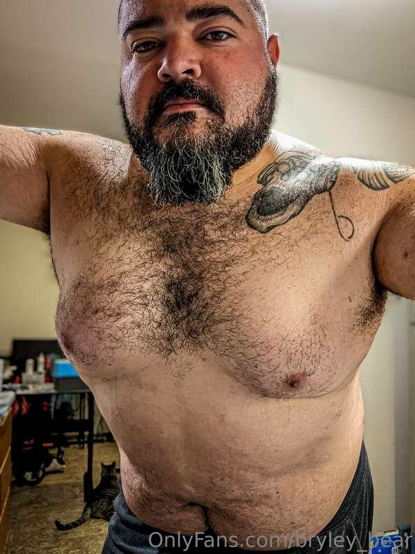 bryley_bear image #0