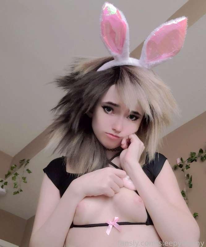 sleepybunny image #2