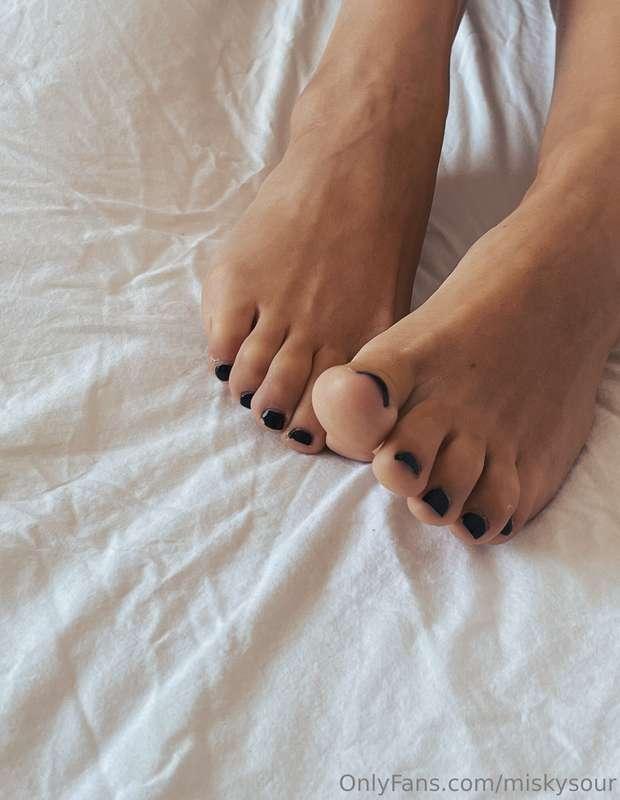 🐈‍⬛