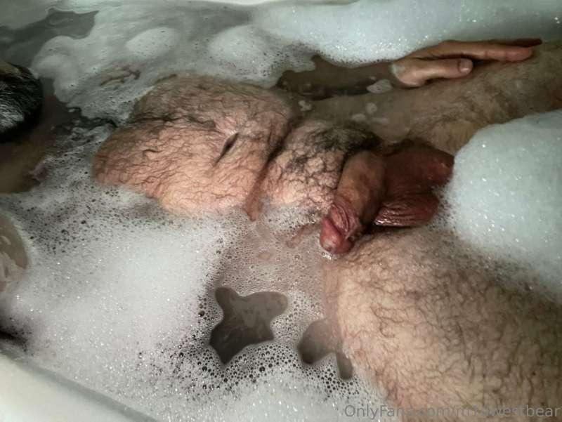 m1dwestbear image #4