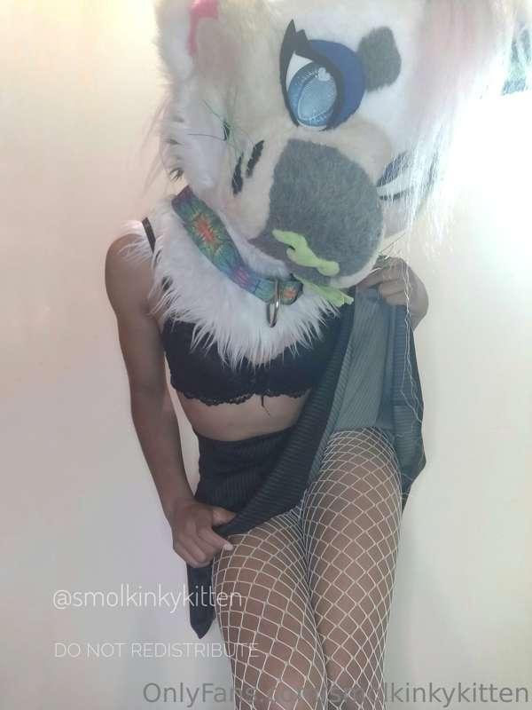 smolkinkykitten image #0