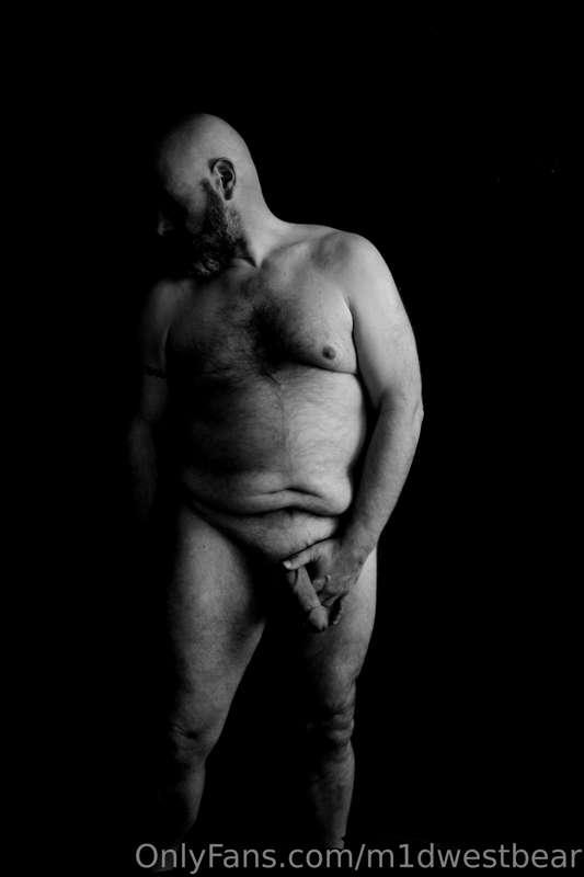 m1dwestbear image #11