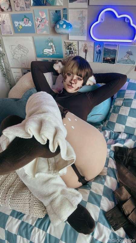 indigowhite image #154