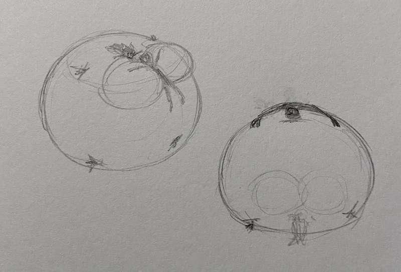 Random Blimp Doodles