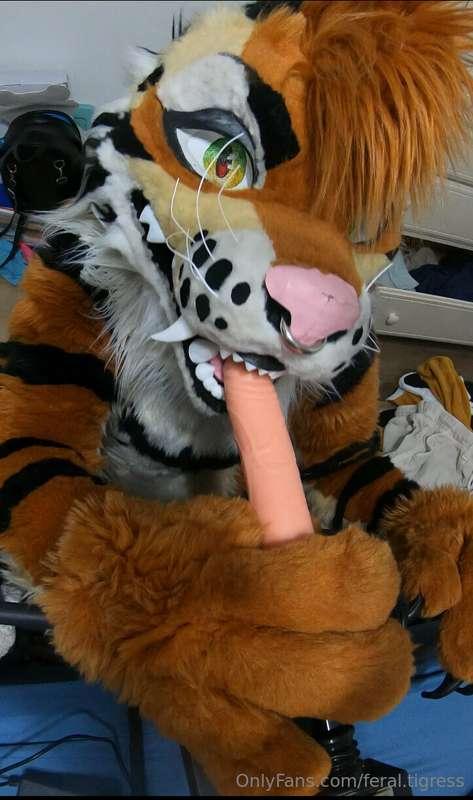 feral.tigress image #2