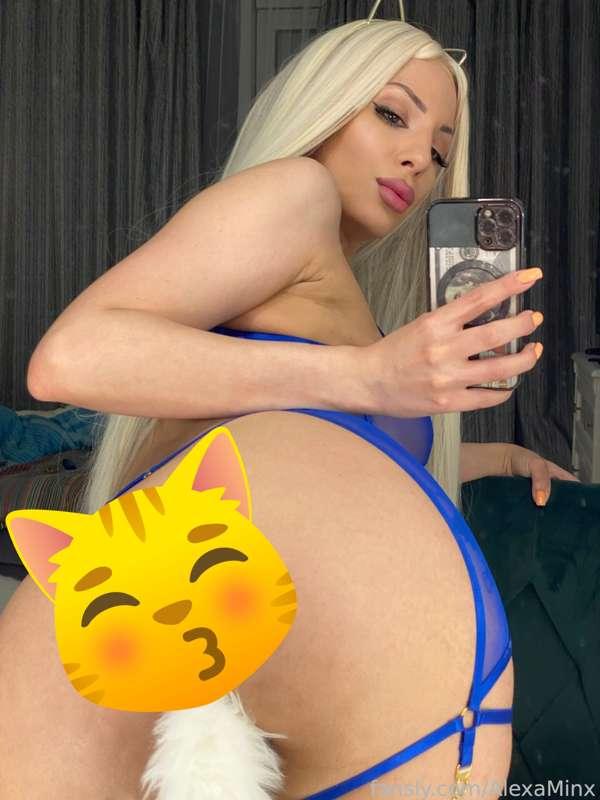 alexaminx image #0