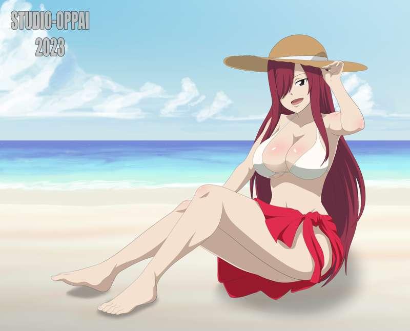 Erza swimsuit