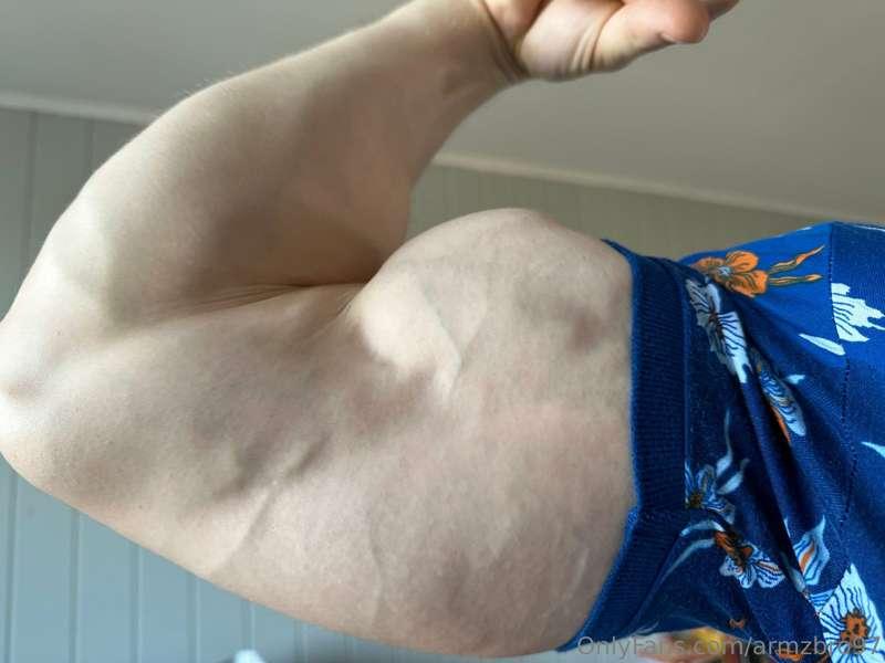 armzbro97 image #5