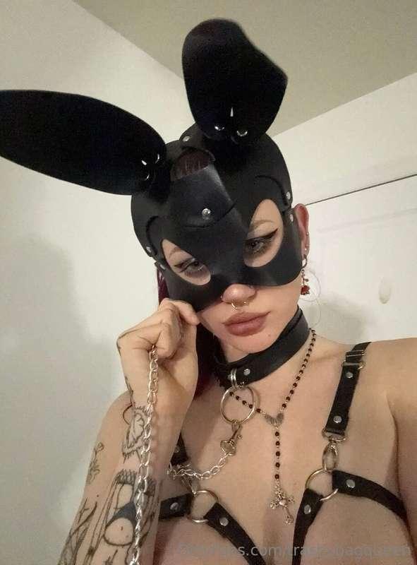 BAD Bunny 🤭