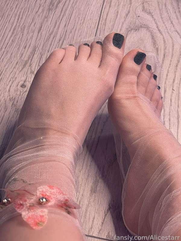 alicestarr image #131