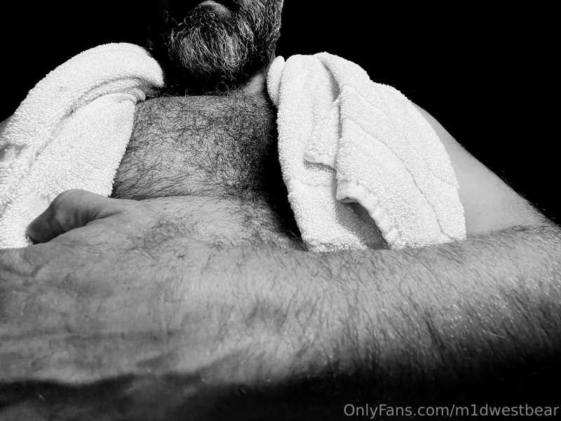 m1dwestbear image #7