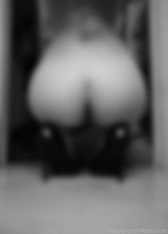 radiocat image #1