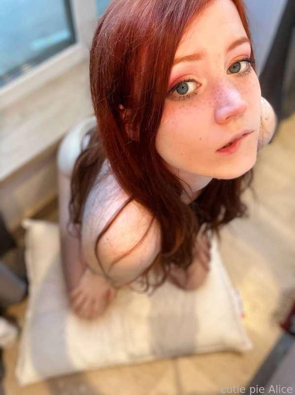 cutiepiealice image #2