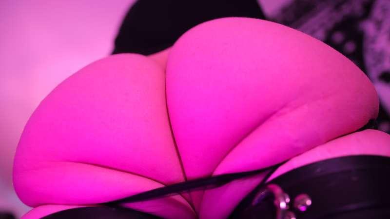 thedissounds image #44