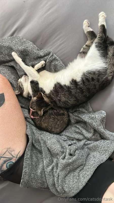 Good morning 😸I took all of my nose jewelry out to freshly p..