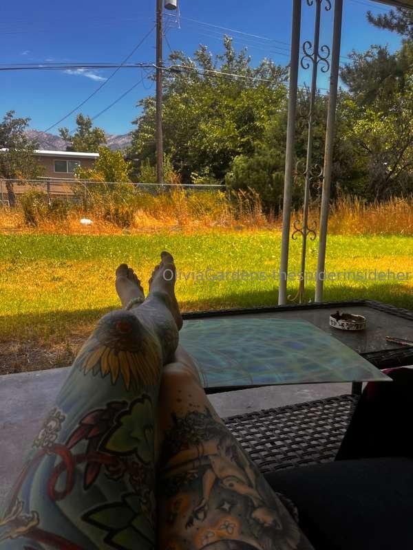 spiderinyourgarden image #0