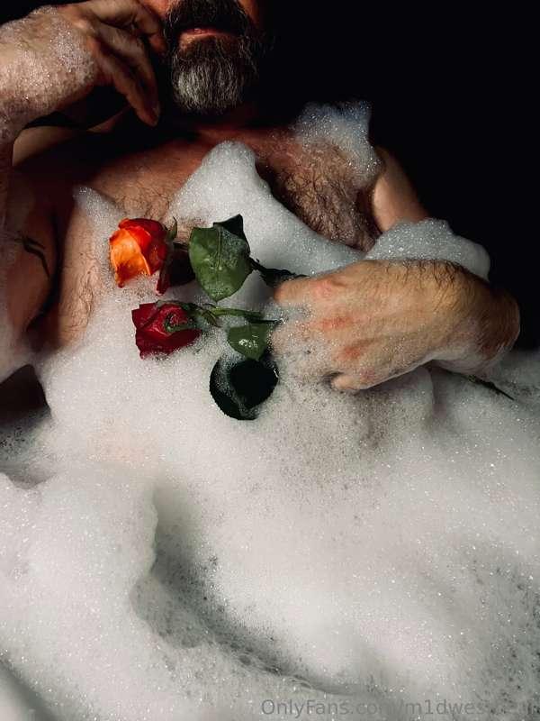 m1dwestbear image #3