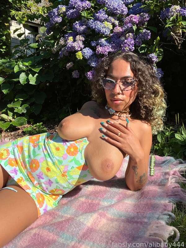 alibaby444 image #56