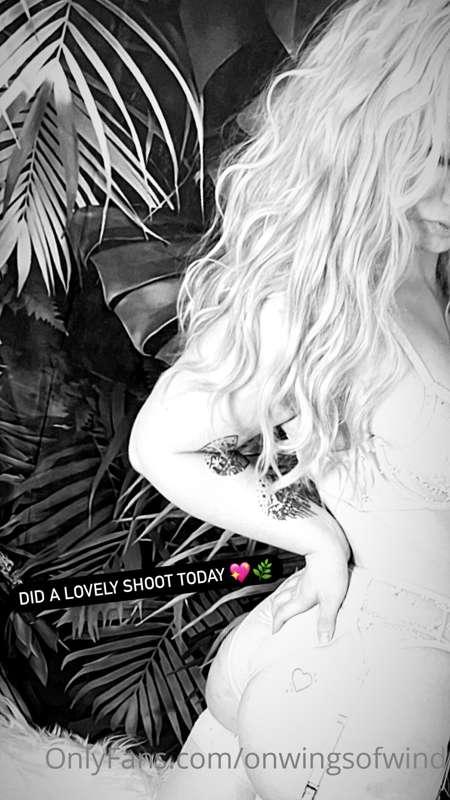 onwingsofwind image #0