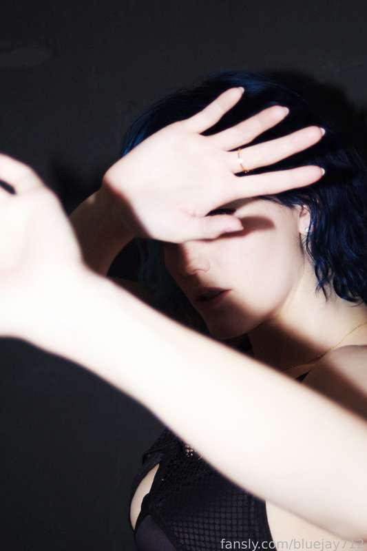 bluejay712 image #4