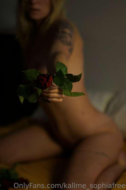 Take my rose