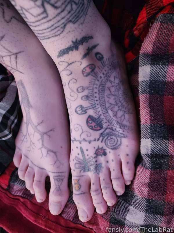 thelabrat image #1
