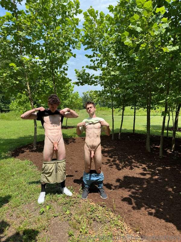 thestepbrothers image #0