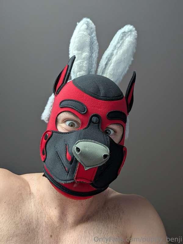 Happy Easter you amazing cuties. Hope you got some amazing t..