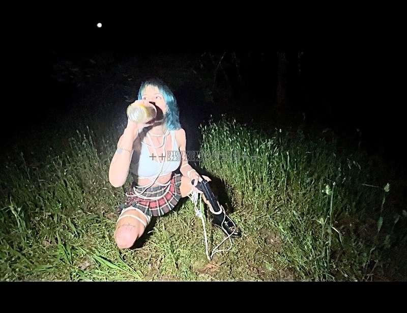 felonywhatevr_free image #1