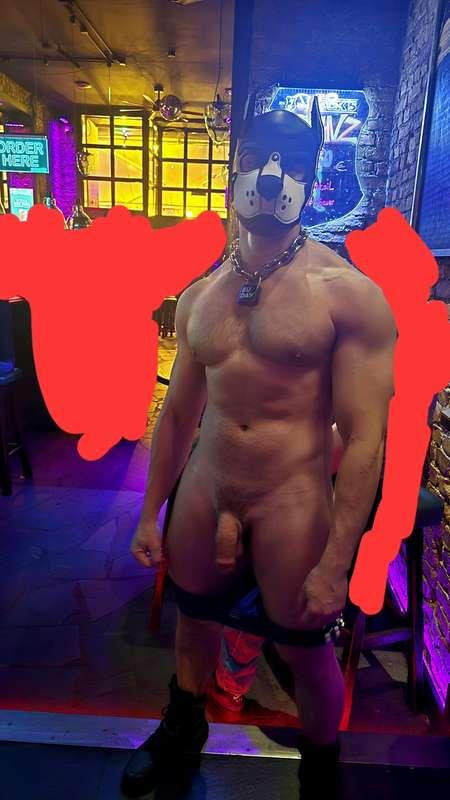 Just a dog showing off at the gay bar 👀People seemed to enjo..