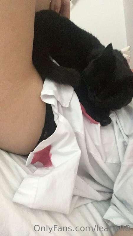 Would you want to be my cat right now?