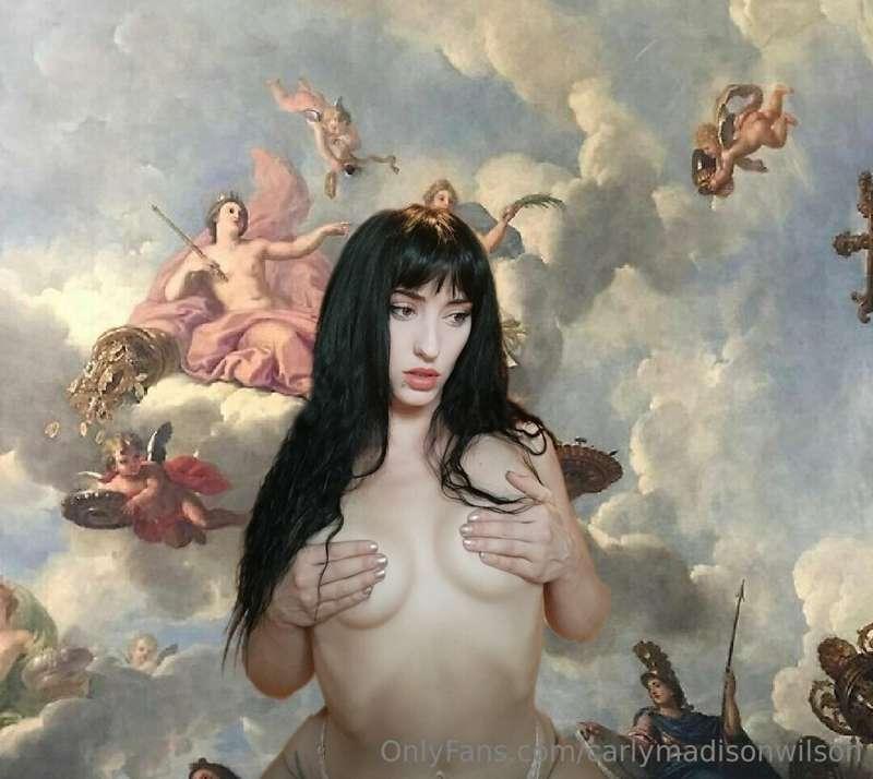 🕊️