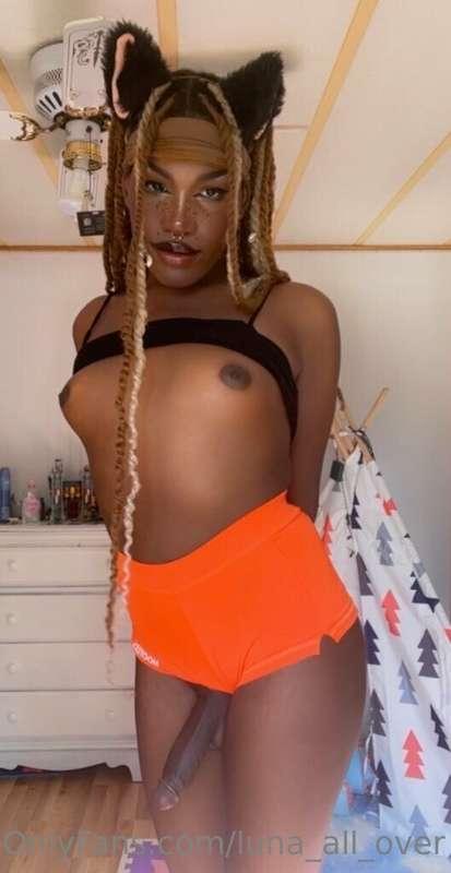 luna_all_over image #0