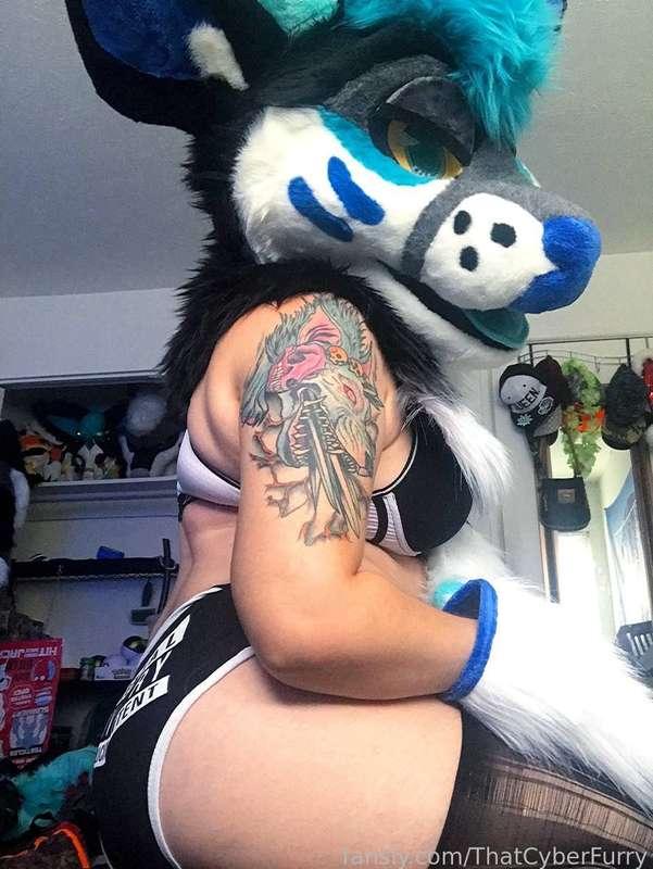 thatcyberfurry image #2
