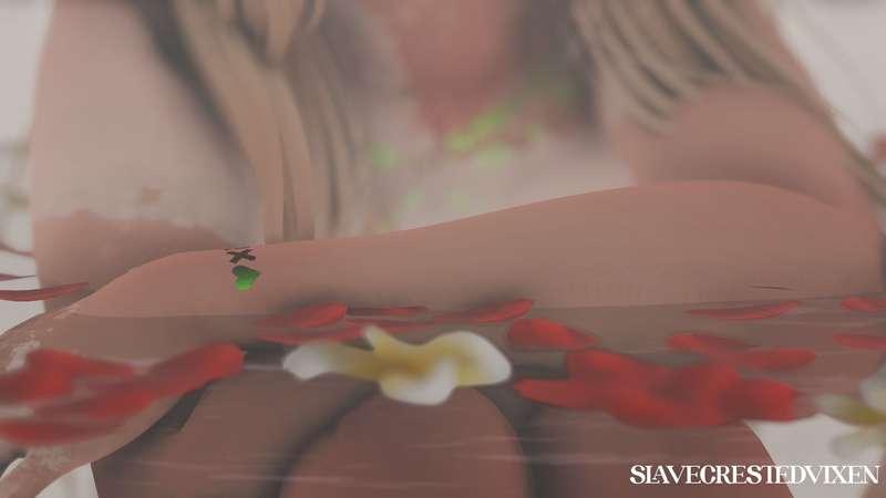 slavecrestedvixen image #2